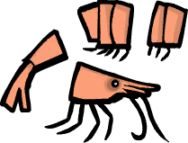 Shrimp parts inventory icon
