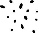 Bird seed inventory icon