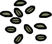Coffee beans inventory icon