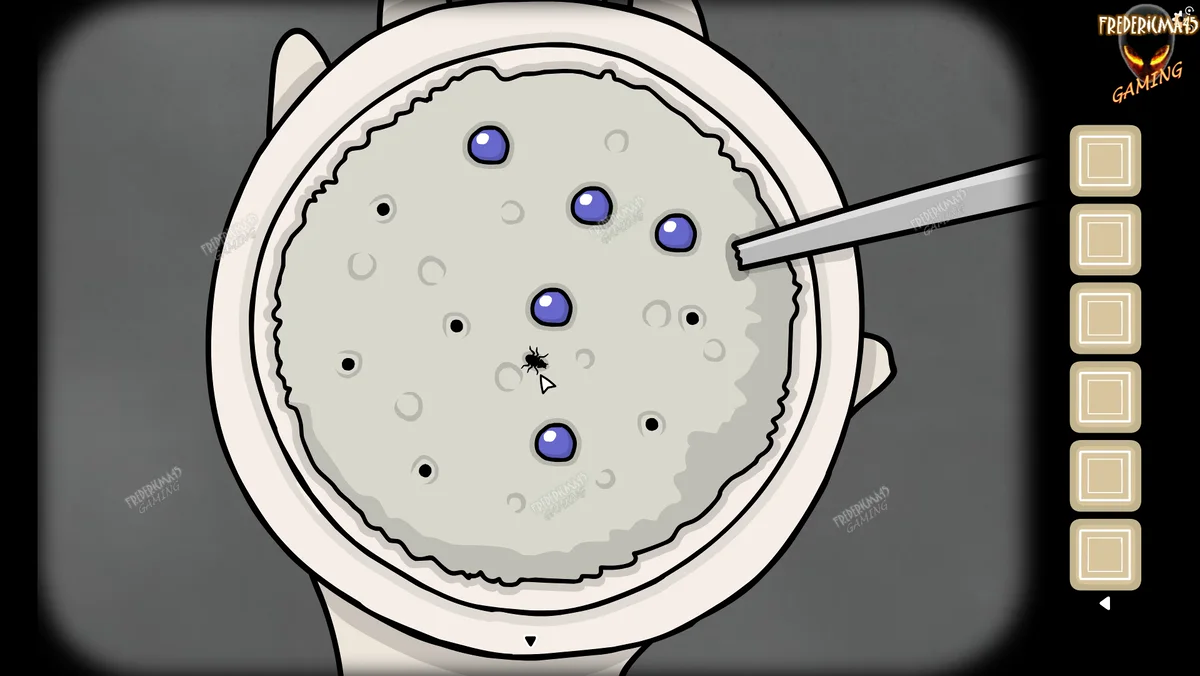 Blue berries being positioned on the black porridge dots