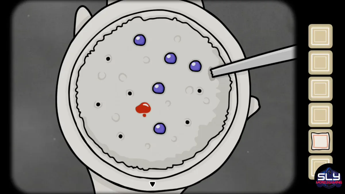 Accepted Lite porridge layout with berries on the black dots